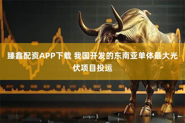 臻鑫配资APP下载 我国开发的东南亚单体最大光伏项目投运