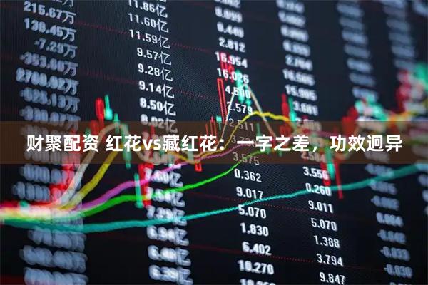 财聚配资 红花vs藏红花：一字之差，功效迥异