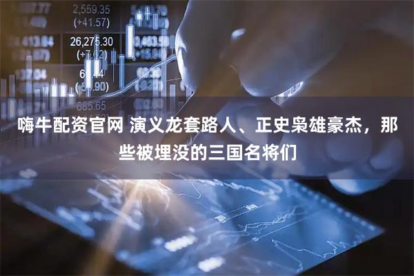 嗨牛配资官网 演义龙套路人、正史枭雄豪杰，那些被埋没的三国名将们